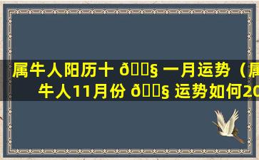 属牛人阳历十 🐧 一月运势（属牛人11月份 🐧 运势如何2021）